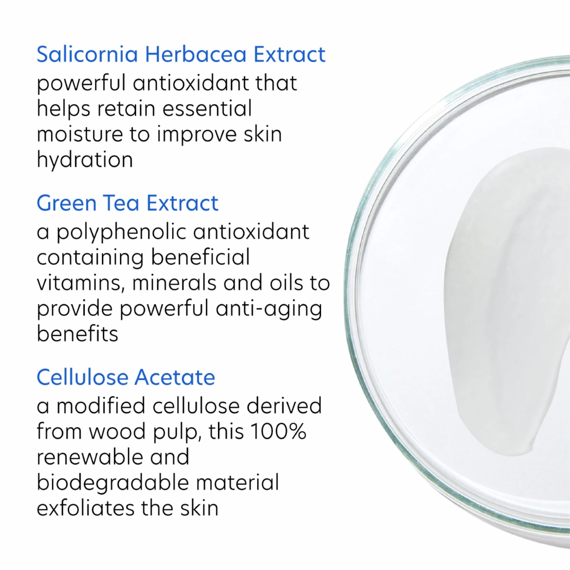 Daily Exfoliant - Image 5