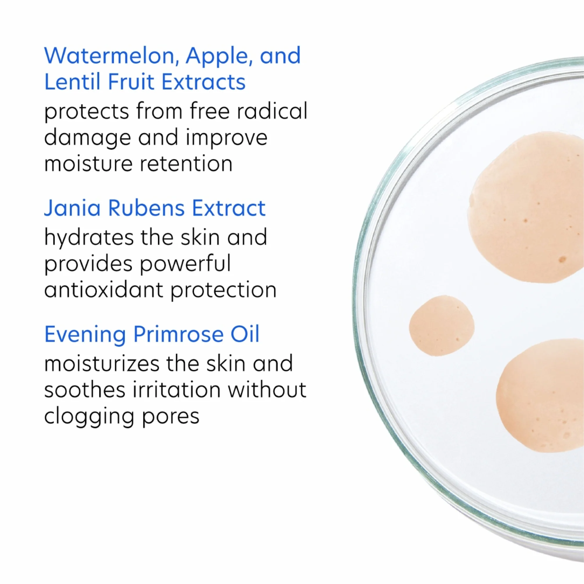 Hydrating Toner - Image 5