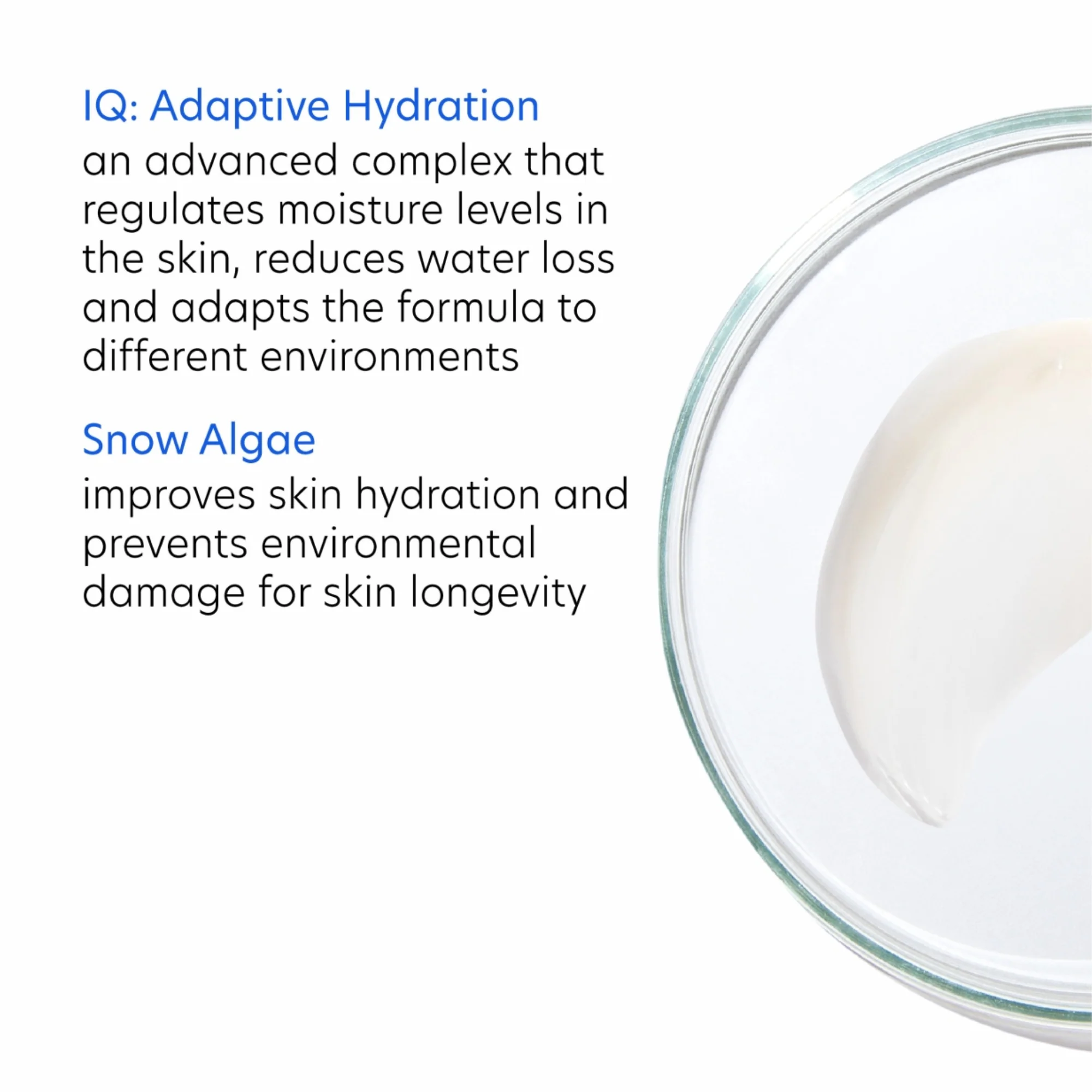 Radiant Skin Set - Image 3